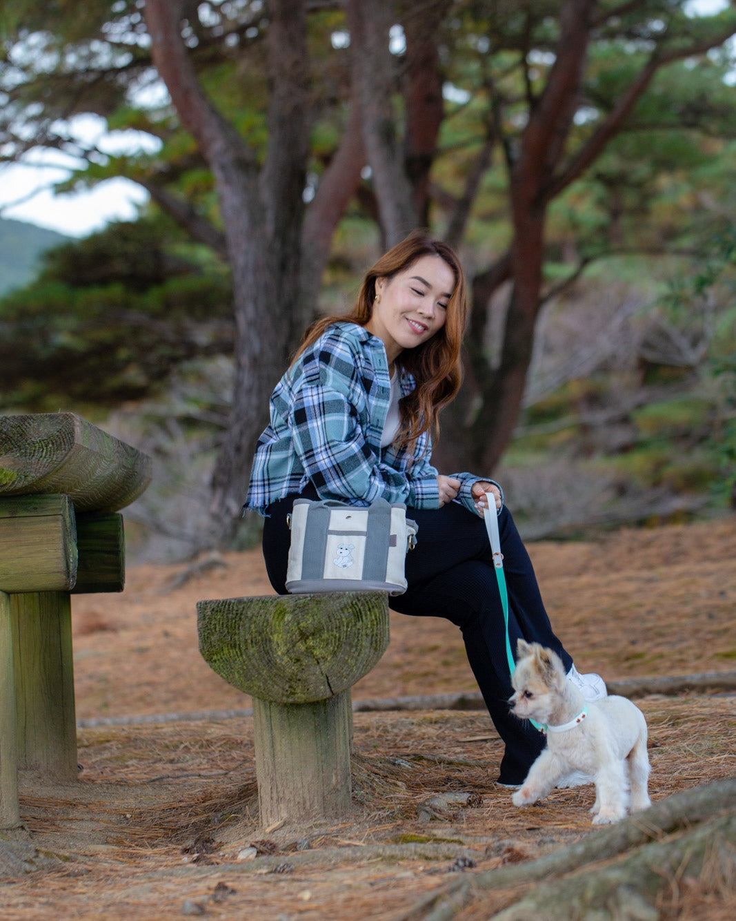 お散歩ミニトートバッグ