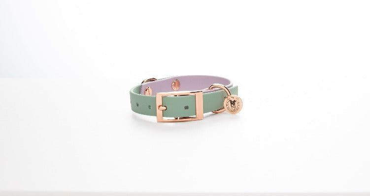 Two Tone Collars /バイカラー首輪 – Cookie Pooch Two Tone Collars /バイカラー首輪 – Cookie Pooch