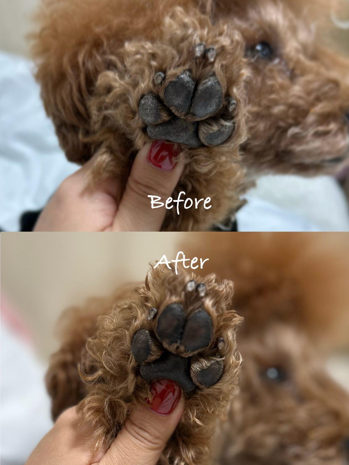 Natural Paw Balm🐕️🐈️🐾