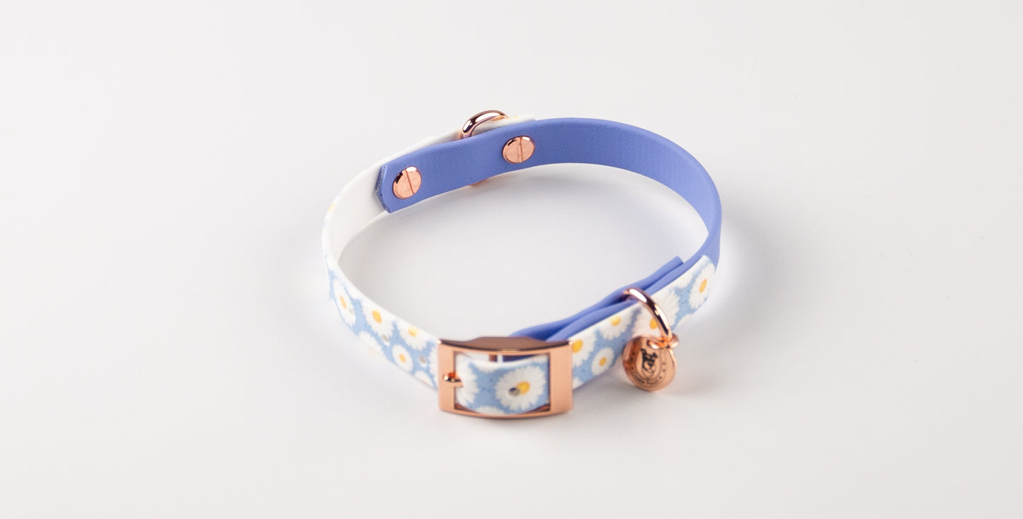 DAISY　首輪
