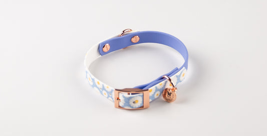 DAISY　首輪