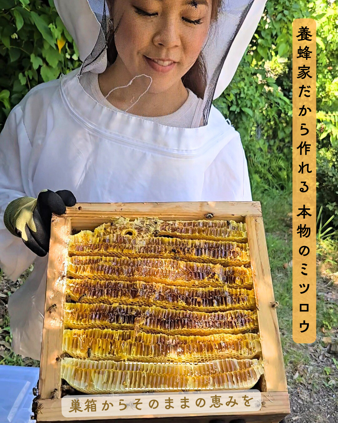 Natural Paw Balm🐕️🐈️🐾