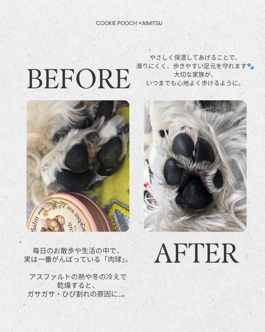 Natural Paw Balm🐕️🐈️🐾