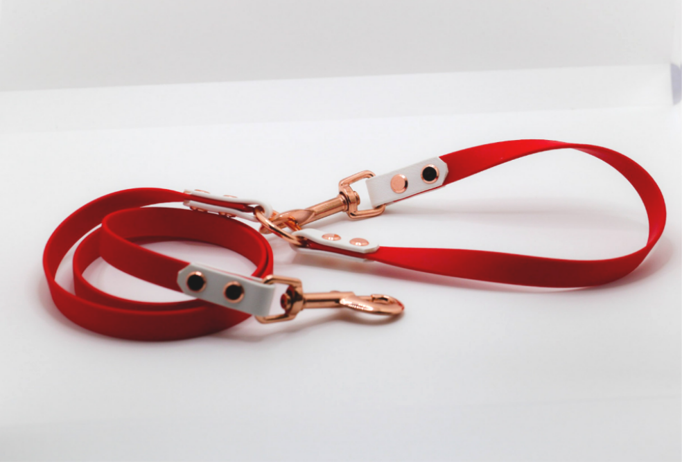 “Ruby”×“Plumeria”Cafe Leash